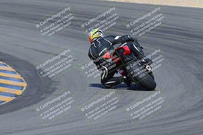 media/Feb-04-2023-SoCal Trackdays (Sat) [[8a776bf2c3]]/Turn 10 Backside (1010am)/